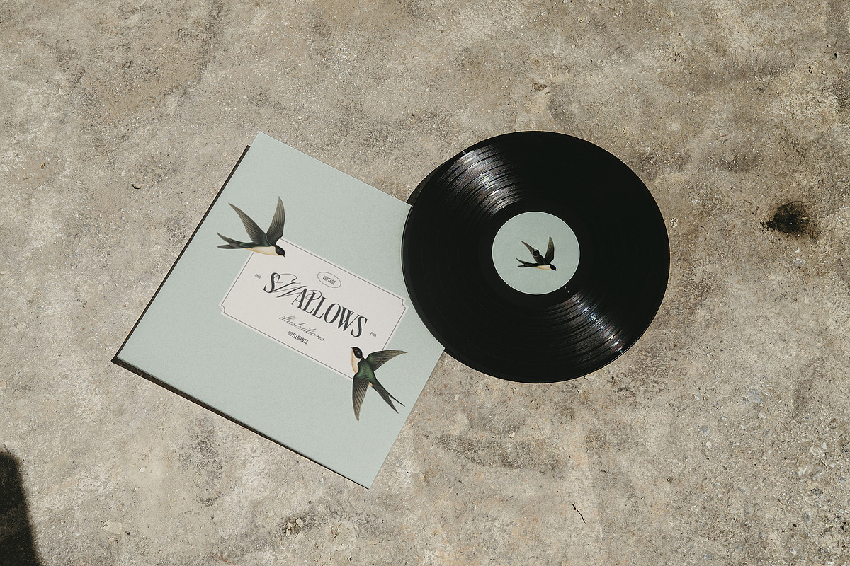 Swallows - vintage illustrations, an Animal Illustration by AI Crafted Magnolia (Photo 4 of 13)