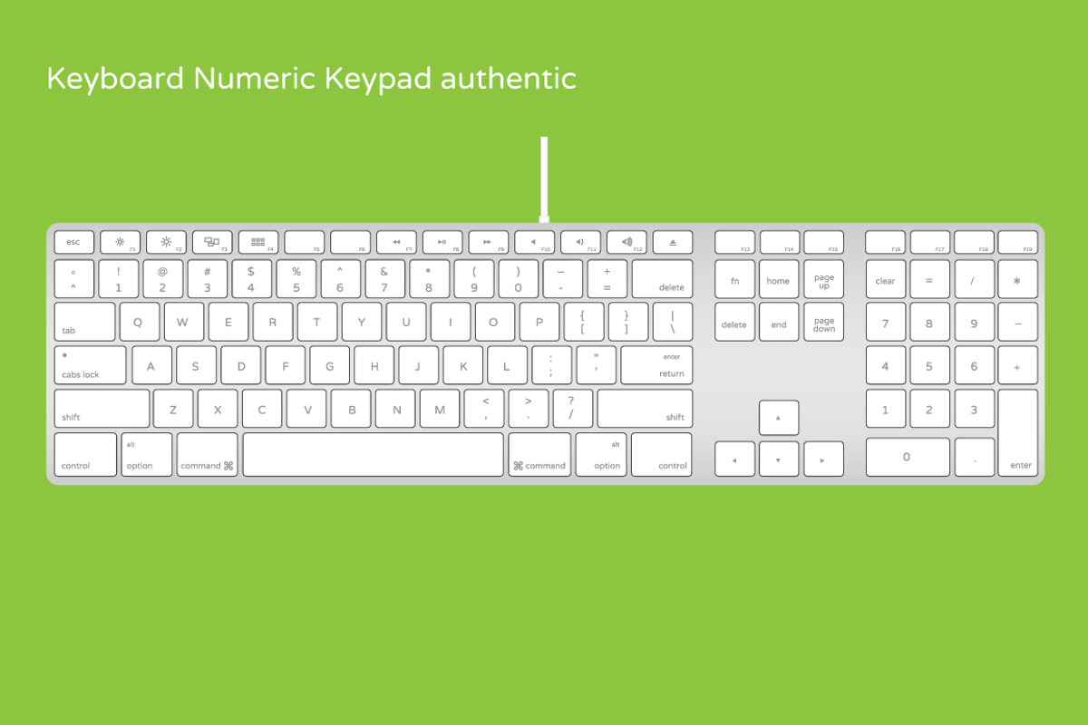 Keyboards and Keypads, a Technology Illustration by ZOOTHOUSANDSIX (Photo 8 of 9)