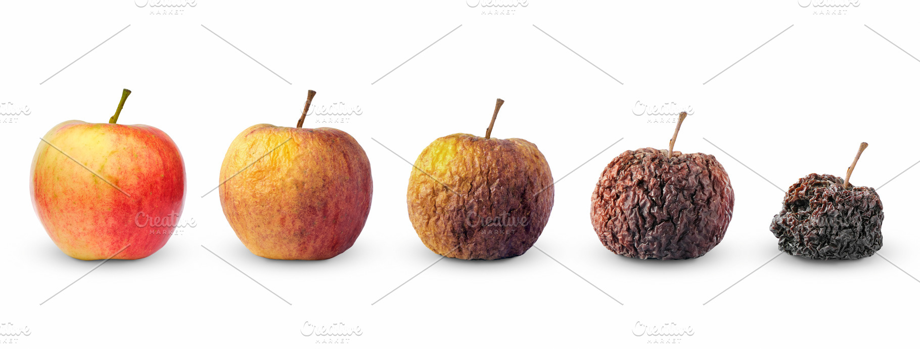 Life circle of apple fruit isolated, a Food & Drink Photo by BOOCYS