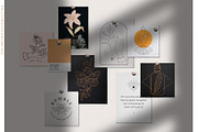 Logo Elements Collection | 50 pieces, a Decorative Illustration by amber&ink (Thumbnail 6 of 10)