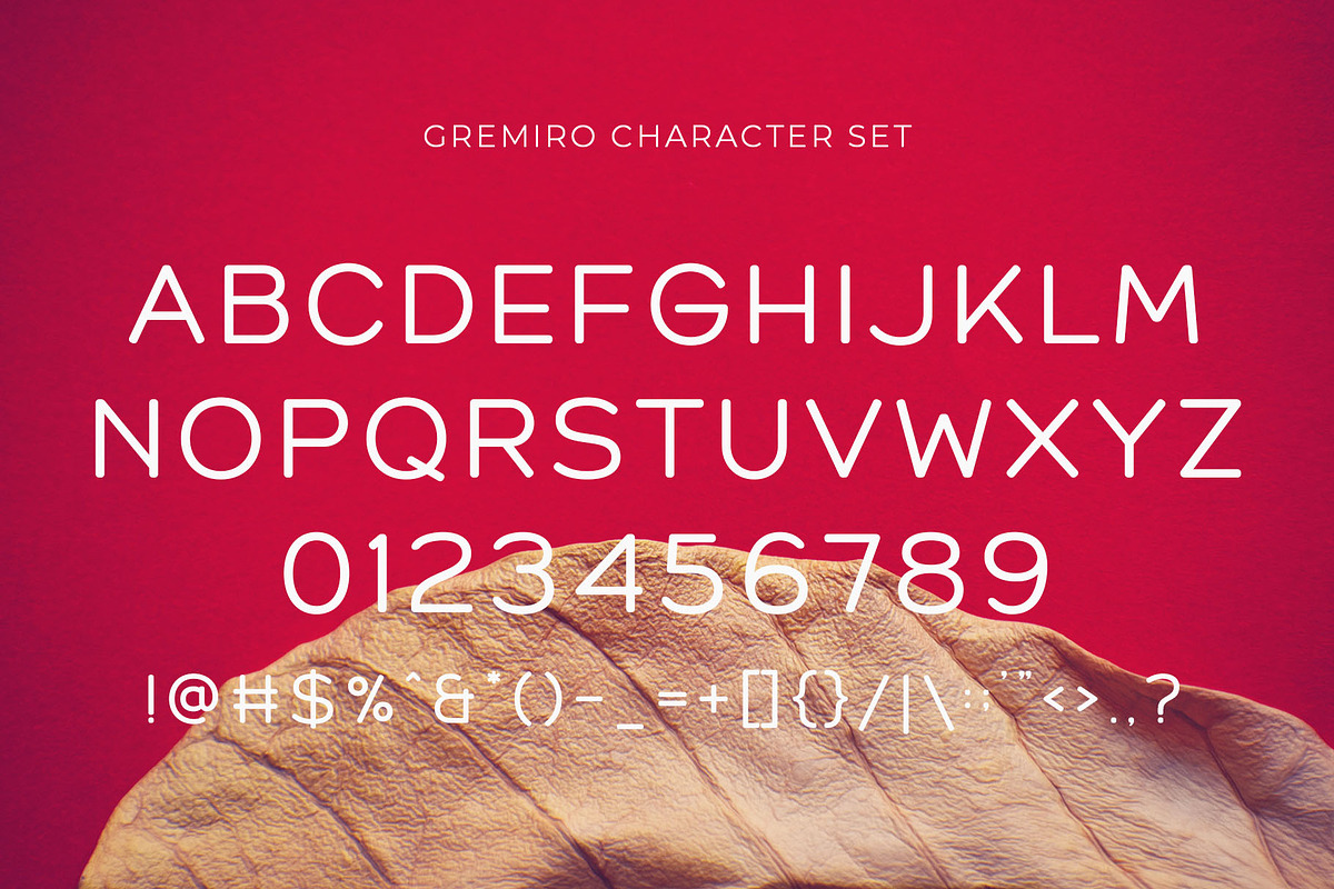 Gremiro - Modern Sans Serif, a Sans Serif Font by Typeformers (Photo 4 of 5)