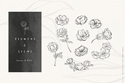 Ink and Petal Floral Vectors, an Object Graphic by Fire Spark Studio (Thumbnail 4 of 8)