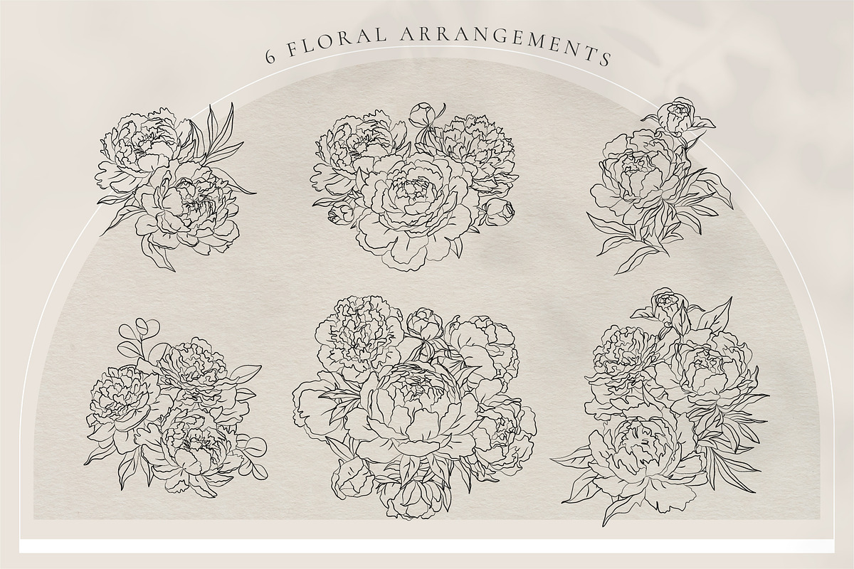 Line Art Peonies Illustrations, a Decorative Illustration by La Petite Line Art (Photo 5 of 11)