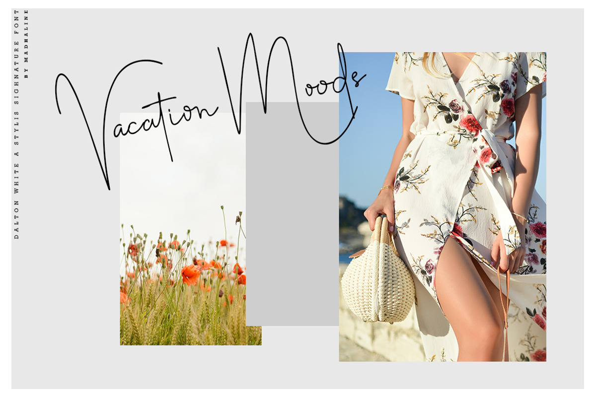 Dalton White 4 Font Style, a Script Font by Madhaline Studio (Photo 10 of 12)