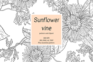 Sunflower Vine