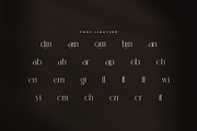 Roman Elegant Ligature Serif Font, a Serif Font by Graphicxell (Thumbnail 8 of 8)