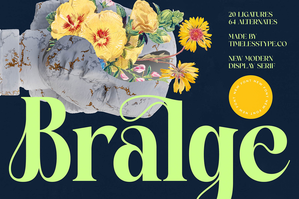 Bralge Modern Display Serif Font, a Serif Font by timelesstype.co (Photo 1 of 20)
