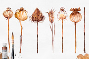 Herbarium Master Collection, a Decorative Illustration by AlexGreenArt (Thumbnail 5 of 12)