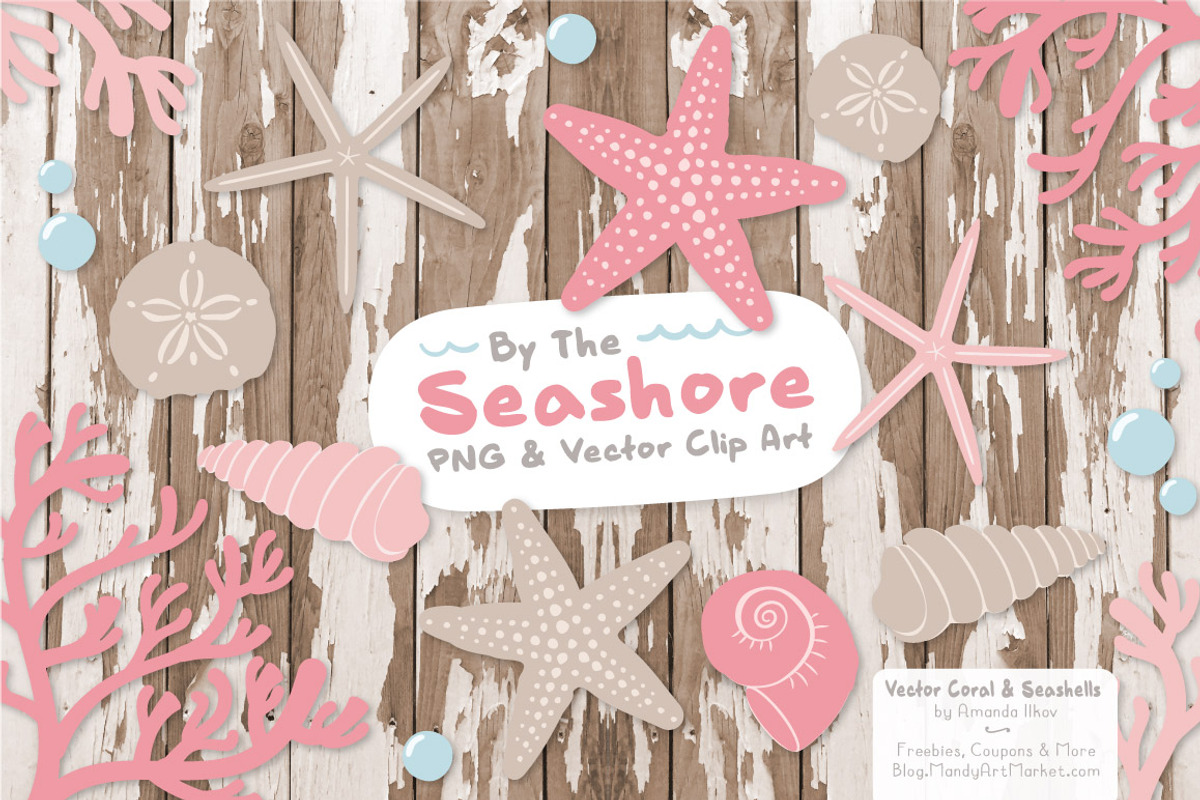 Seashells Clipart in Soft Pink, an Illustration by Amanda Ilkov (Photo 2 of 5)