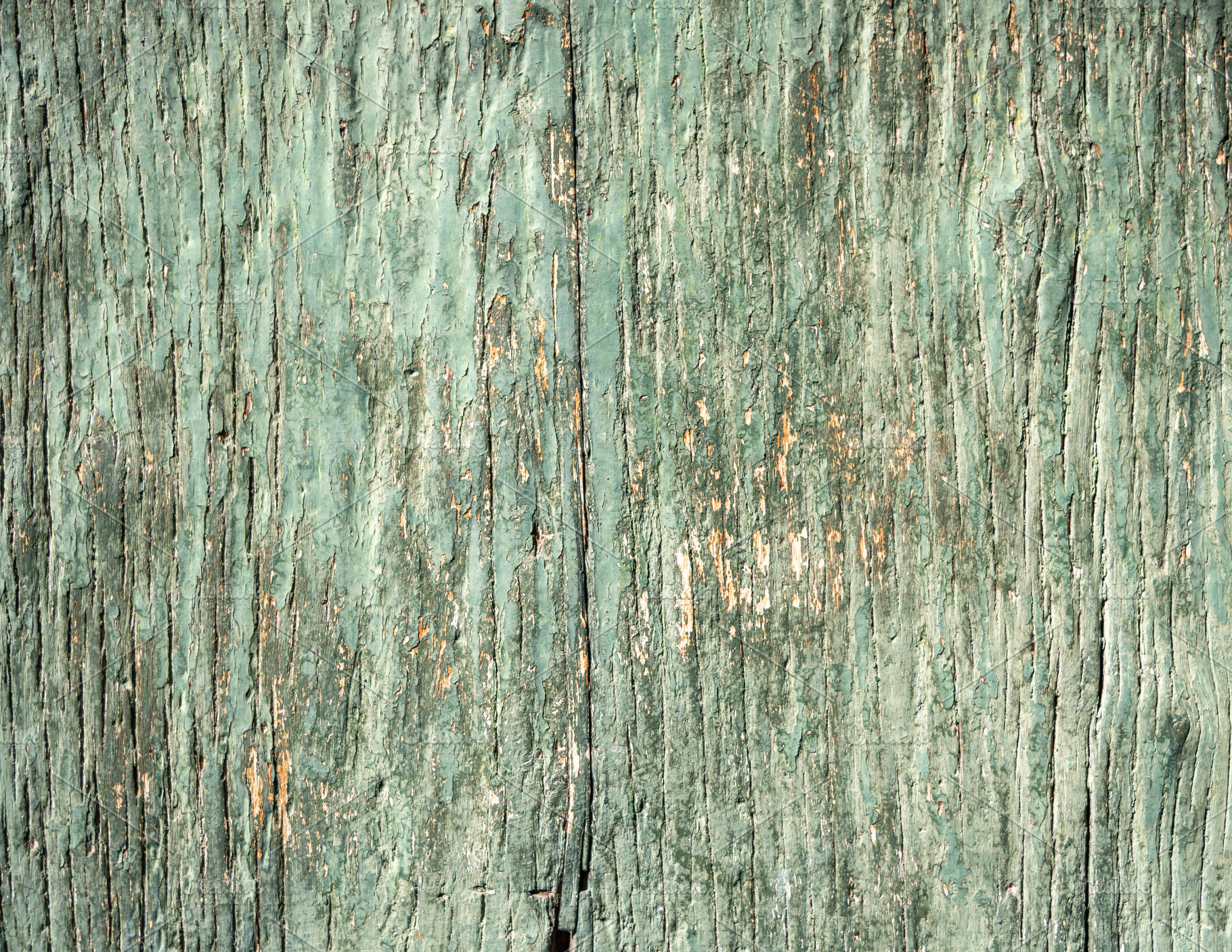 Aged Green Painted Wood Texture with Cracked and Peeling Paint, a Nature Photo by GoodGoods