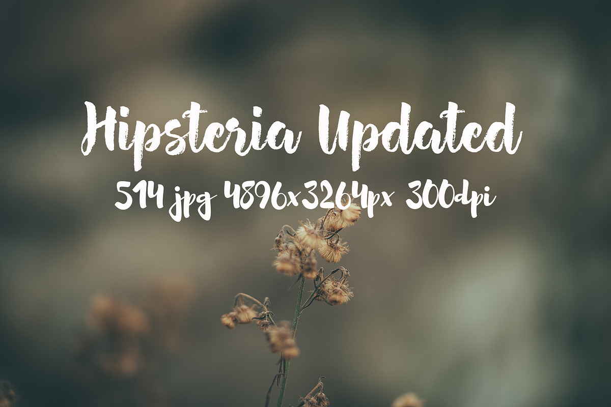 Hipsteria photo pack, a Templates & Theme by ApertureVintage (Photo 5 of 48)