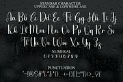 Autumn Lovers, a Handwritten Font by FreshTypeINK (Thumbnail 6 of 8)