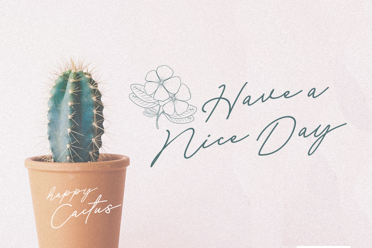 Mirabelya, a Script Font by Typeskets (Photo 7 of 12)