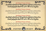 FHA Tuscan Roman, a Serif Font by Fontry West (Thumbnail 5 of 14)
