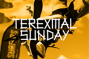 Terexmal Sunday, a Font by limitype (Thumbnail 1 of 18)