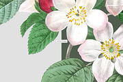 Vintage Botanical Illustrations 2, a Decorative Illustration by likorbut (Thumbnail 6 of 9)
