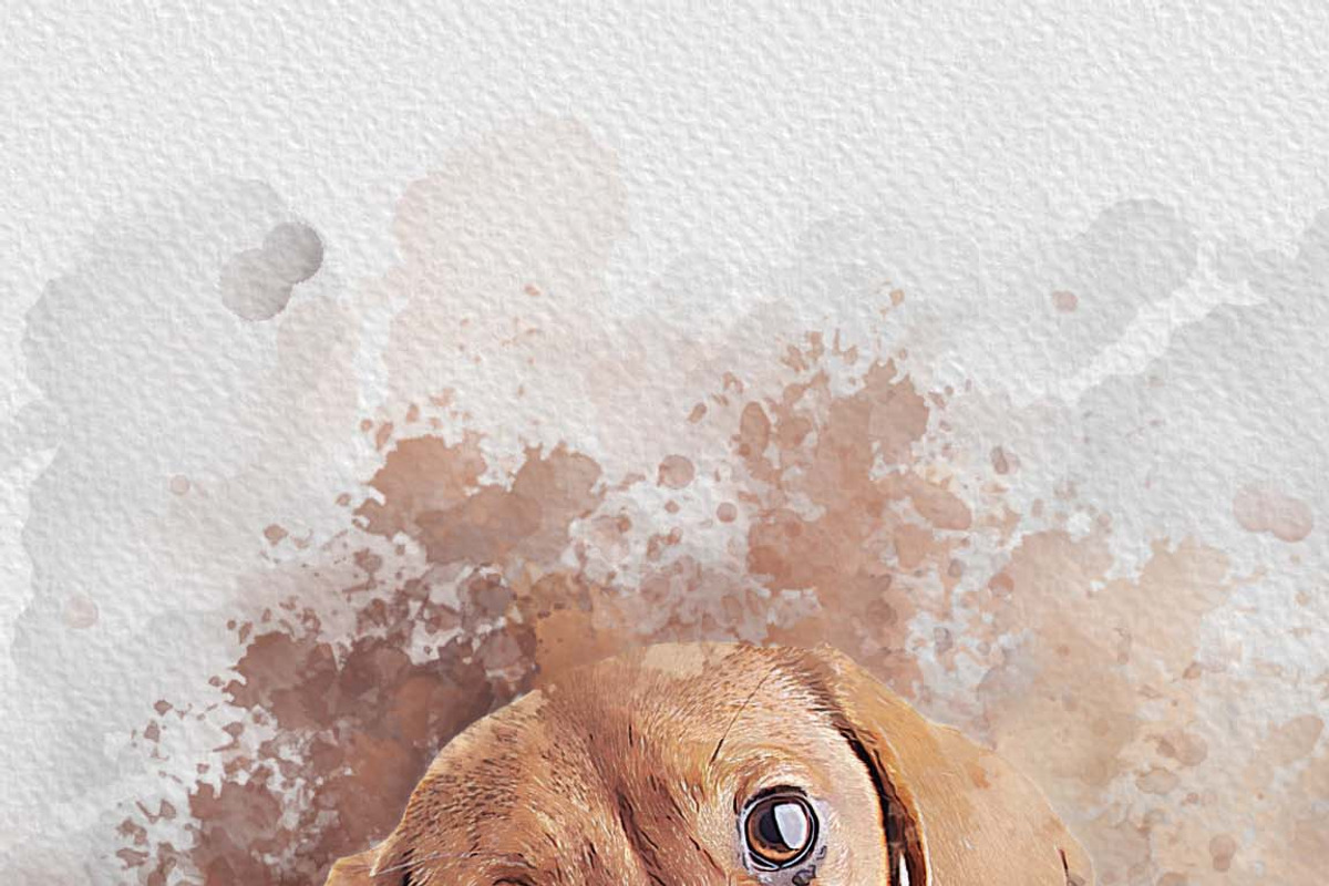 Dog Watercolor Painting, an Action Add-On by MRI STUDIO (Photo 15 of 18)