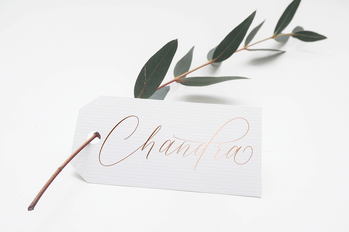 Sully Font Script preview 6