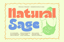 Natural Sage Retro Display Font