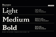 Necronos - Serif font family, a Serif Font by Artistic & Unique (Thumbnail 2 of 15)
