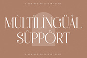 Heyanik New Modern Elegant Serif, a Serif Font by Storytype Studio (Thumbnail 12 of 15)