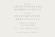 Anmer Elegant Font, a Serif Font by Hishand Studio (Thumbnail 8 of 10)
