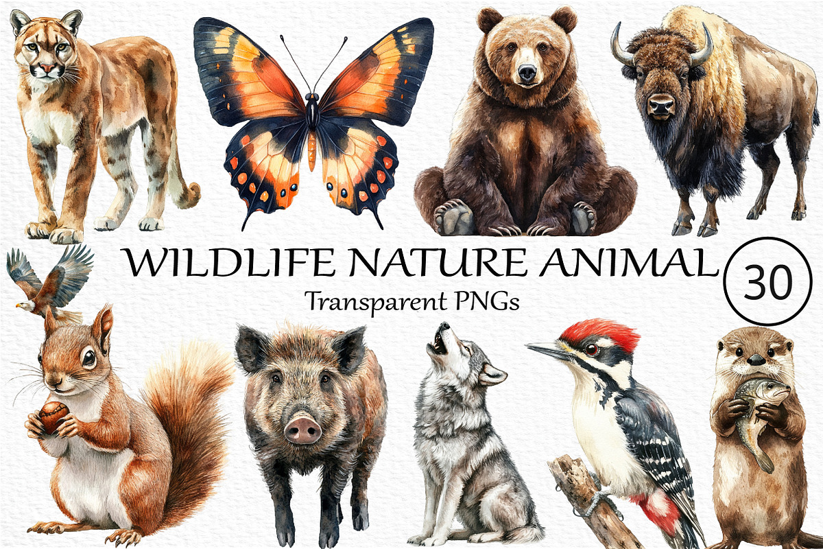 Watercolor Wildlife Nature Animals, an Illustration by Craft Nest (Photo 1 of 6)