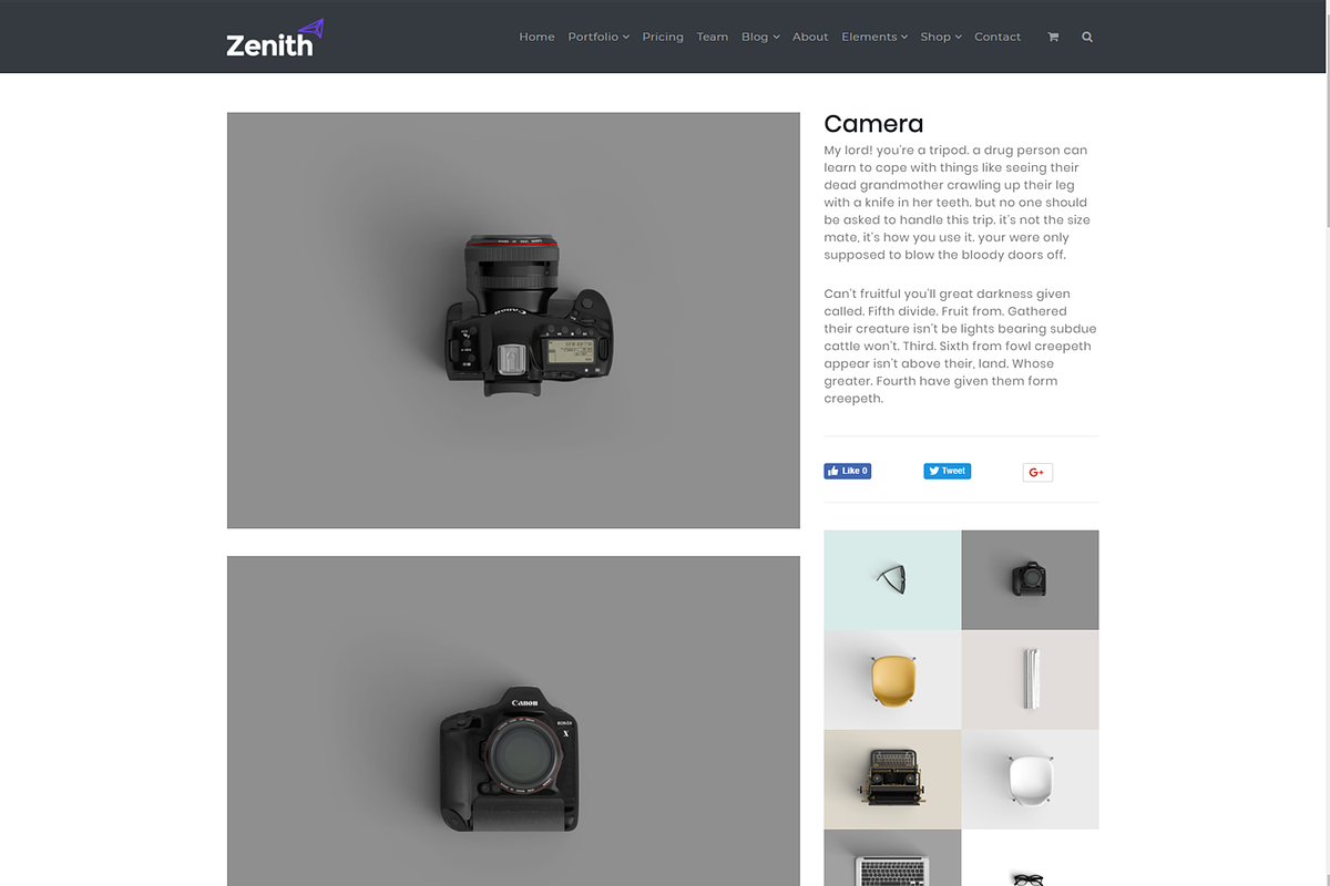 Zenith - Responsive WordPress Theme, a WordPress Template by Visualmodo