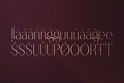 Forbidden Love - Display Font, a Serif Font by VP Fonts (Thumbnail 14 of 20)