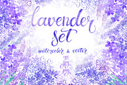 Lavender., an Object Illustration by maritime_m (Thumbnail 1 of 7)