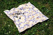 Lemons, an Object Graphic by Groovy Arts (Thumbnail 16 of 17)
