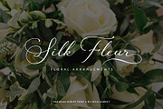 Parisian Vintage Calligraphy Script, a Script Font by Mila Garret (Thumbnail 2 of 13)