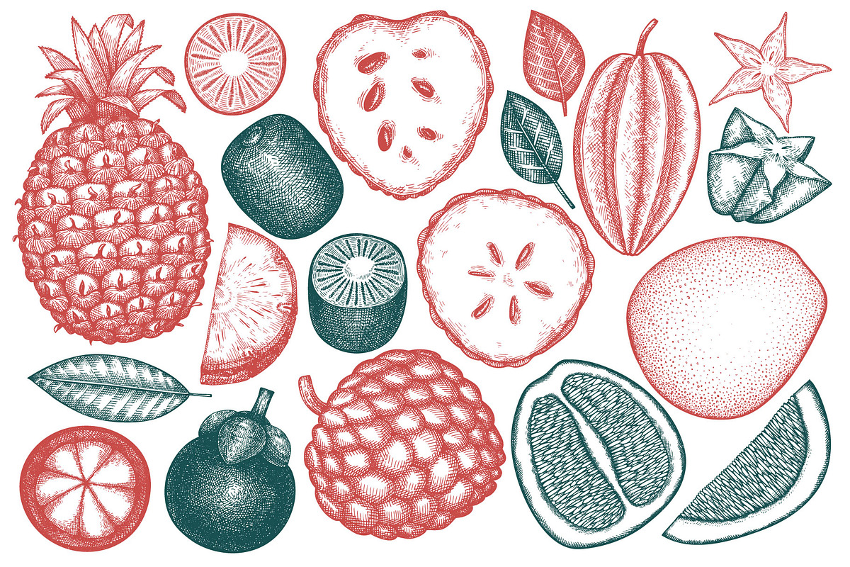 Exotic Plants Vector Collection#2, a Food Illustration by Lubov Illustrations Shop (Photo 2 of 3)