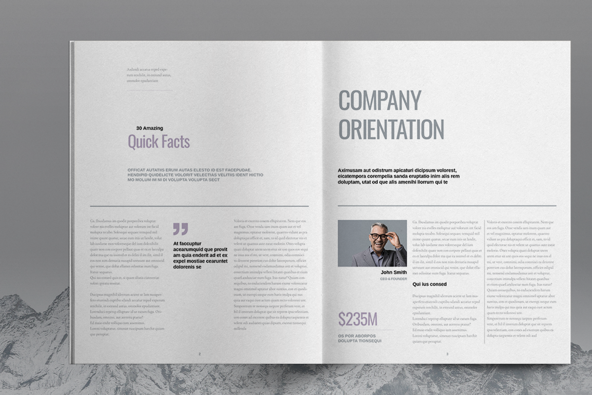 Company Overview Template