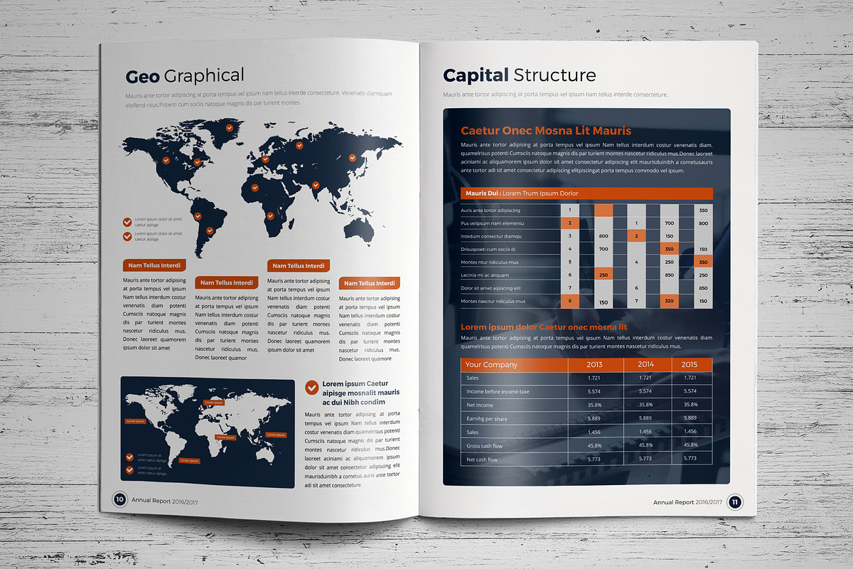 Annual Report Template V3, a Brochure Template by JanySultana (Photo 6 of 14)