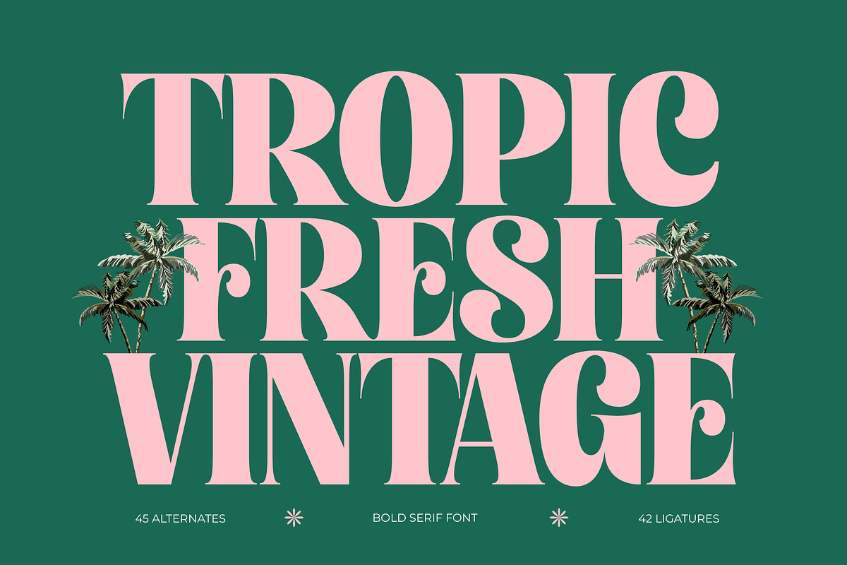 Tropic Fresh Bold Vintage Serif, a Serif Font by timelesstype.co (Photo 1 of 20)