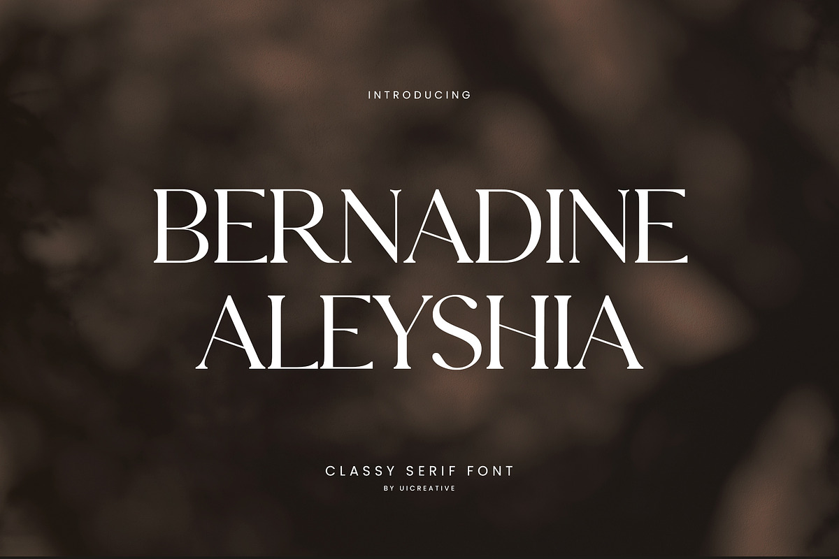 Bernadine Aleyshia Classic Serif, a Serif Font by UICreative (Photo 1 of 13)