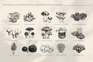 Sketch Mushroom Illustrations