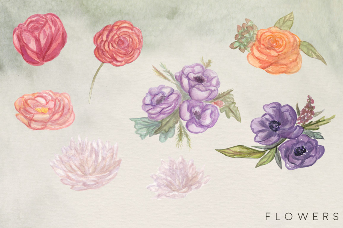 Succulent Blooms Watercolor Images, a Texture Illustration by Fire Spark Studio (Photo 4 of 9)