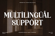 Raillinc Modern Display Serif Font, a Font by Storytype Studio (Thumbnail 16 of 19)