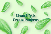 Prickly Pear Cactus & Succulents, an Object Graphic by Fox & Bear (Thumbnail 3 of 6)