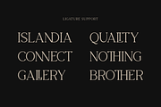 The Blinders - Elegant Serif Font, a Serif Font by RockboyStd (Thumbnail 8 of 12)