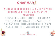 Espoir Serif - Font Family, a Serif Font by Craft Supply Co. (Thumbnail 6 of 11)