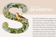 Bakewell Complete Family, a Sans Serif Font by Kimmy Design (Thumbnail 2 of 14)