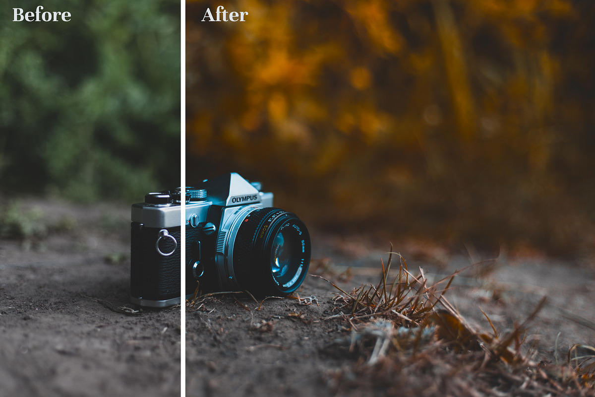 Fall Presets 2019 - Lightroom Preset, an Action Add-On by Maple Visuals (Photo 5 of 10)