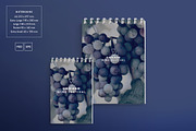 Mega Bundle | Wine Festival, a Poster Template by Amber Graphics (Thumbnail 7 of 13)