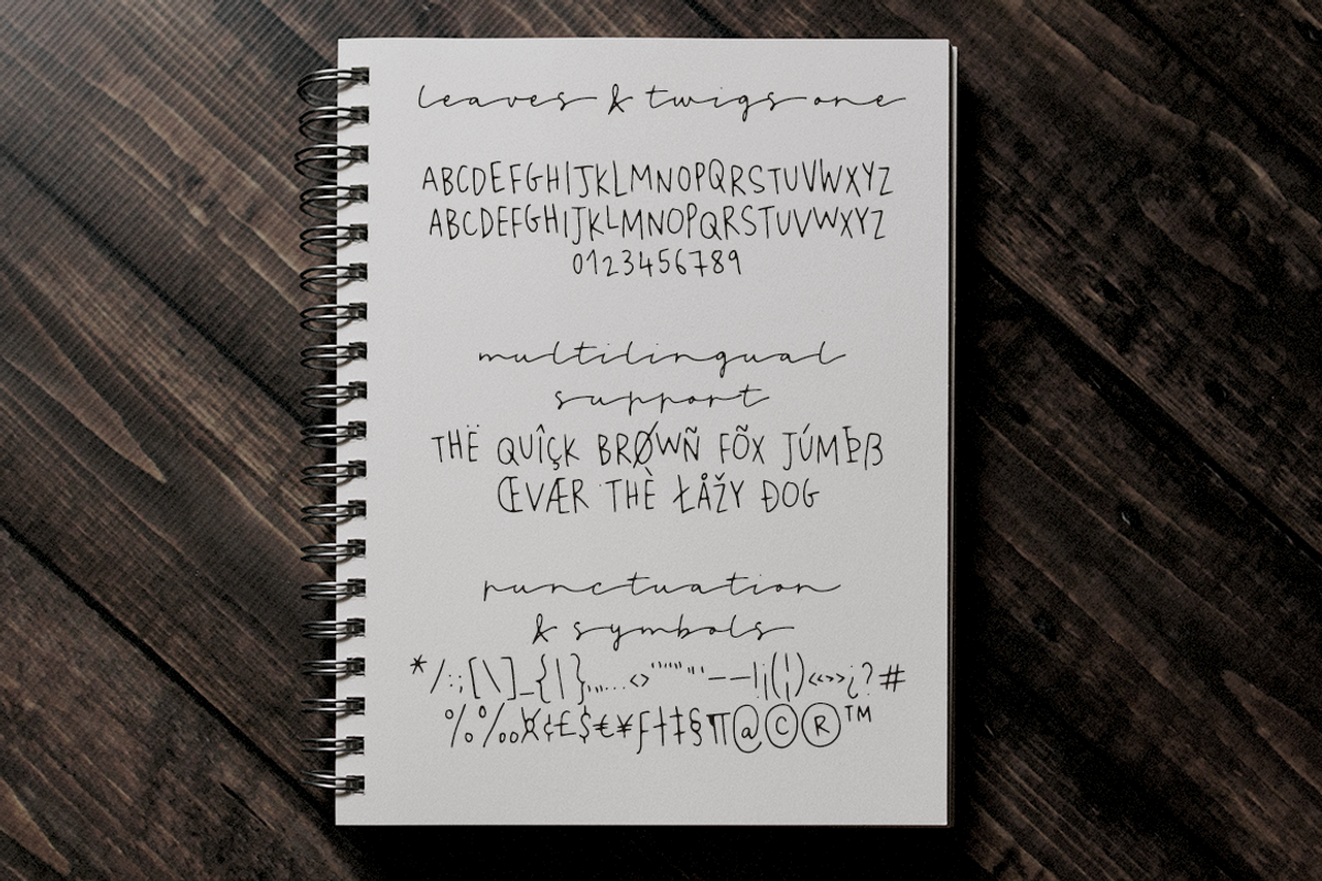 Leaves and Twigs font trio & extras, a Script Font by Ana's Fonts (Photo 4 of 17)