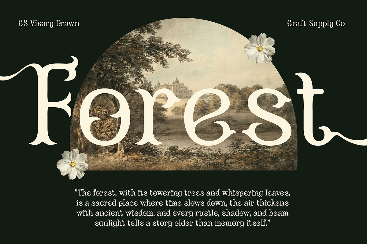 CS Visery Drawn, a Serif Font by Craft Supply Co. (Photo 3 of 8)