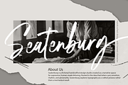 Hamillson – Handwritten Brush Script, a Handwritten Font by MJB Letters (Thumbnail 6 of 11)