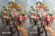 Wasabi LR Presets + Video Filters, a Preset Add-On by TheWayfarerShoppe (Thumbnail 4 of 7)